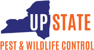 Upstate Pest & Wildlife Control